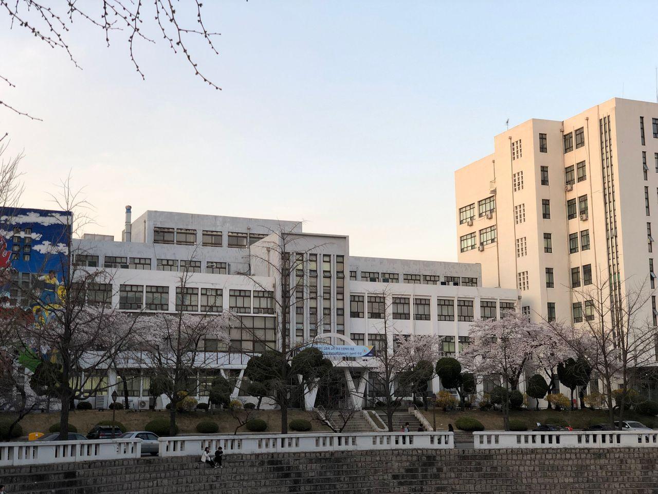 Take a walk on Kyung Hee campus with European architecture and cherry blossoms